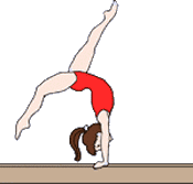 Becoming a Flexible Reader, Gymnast