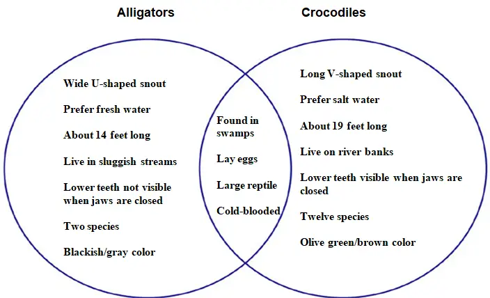 Venn diagram showing crocodiles vs. alligators